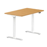 Flexispot E7 Dual Motor Electric Standing Desk