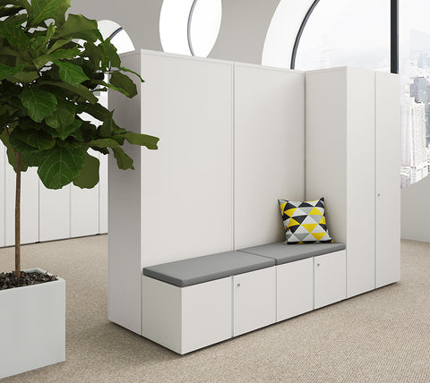 Hinged Door Wooden Cabinet