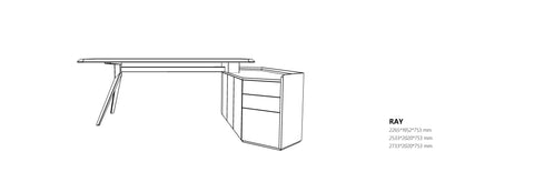 RAY Executive Desk