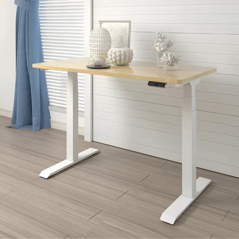 Flexispot E7 Dual Motor Electric Standing Desk