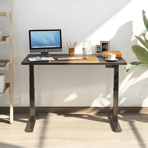 Flexispot E7 Dual Motor Electric Standing Desk