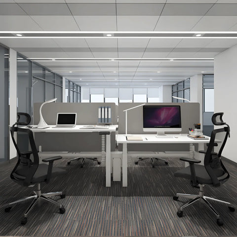 Flexispot E7H Dual Motor Double Sided Electric Standing Desk