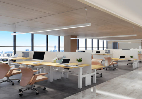 Flexispot E7H Dual Motor Double Sided Electric Standing Desk